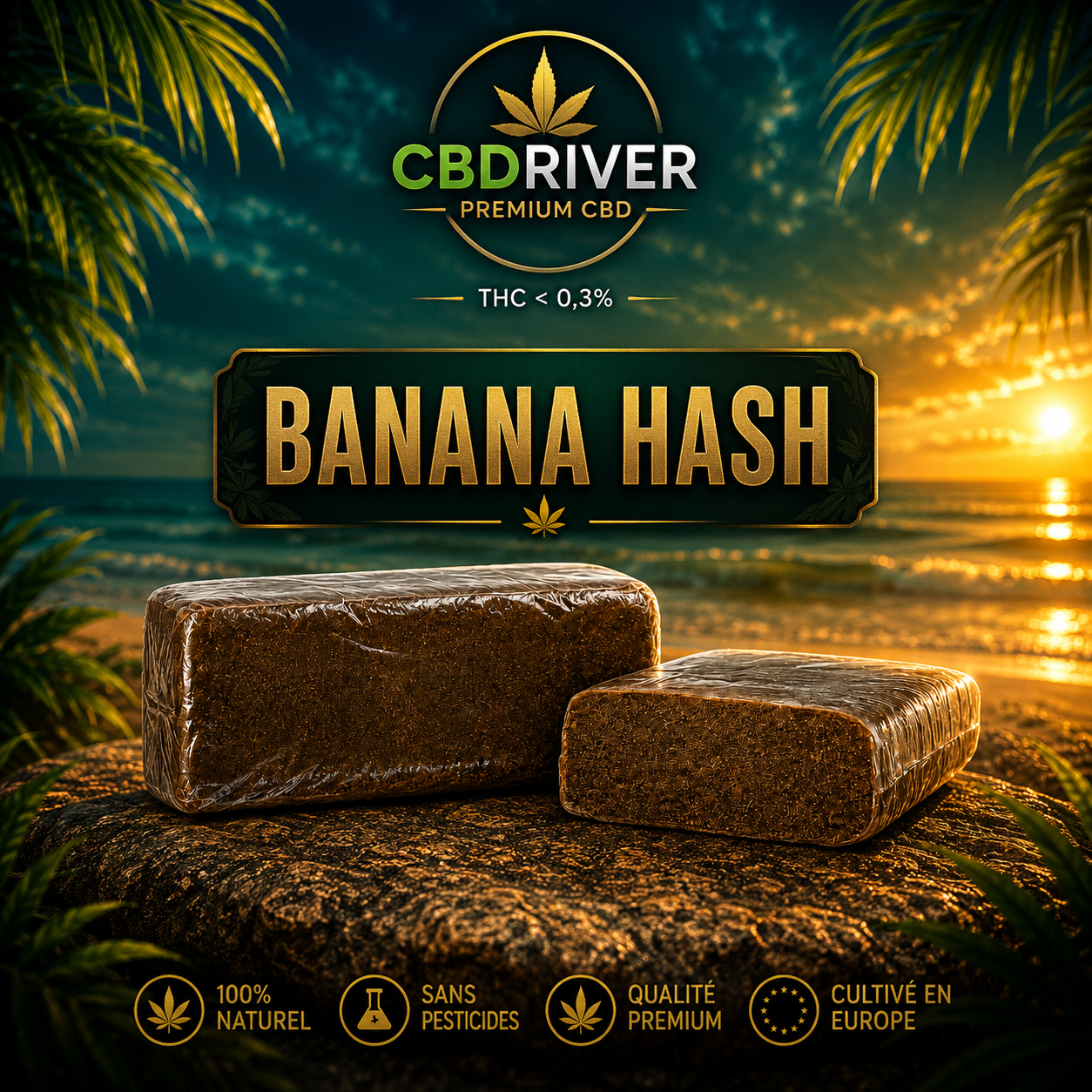 BANANA HASH