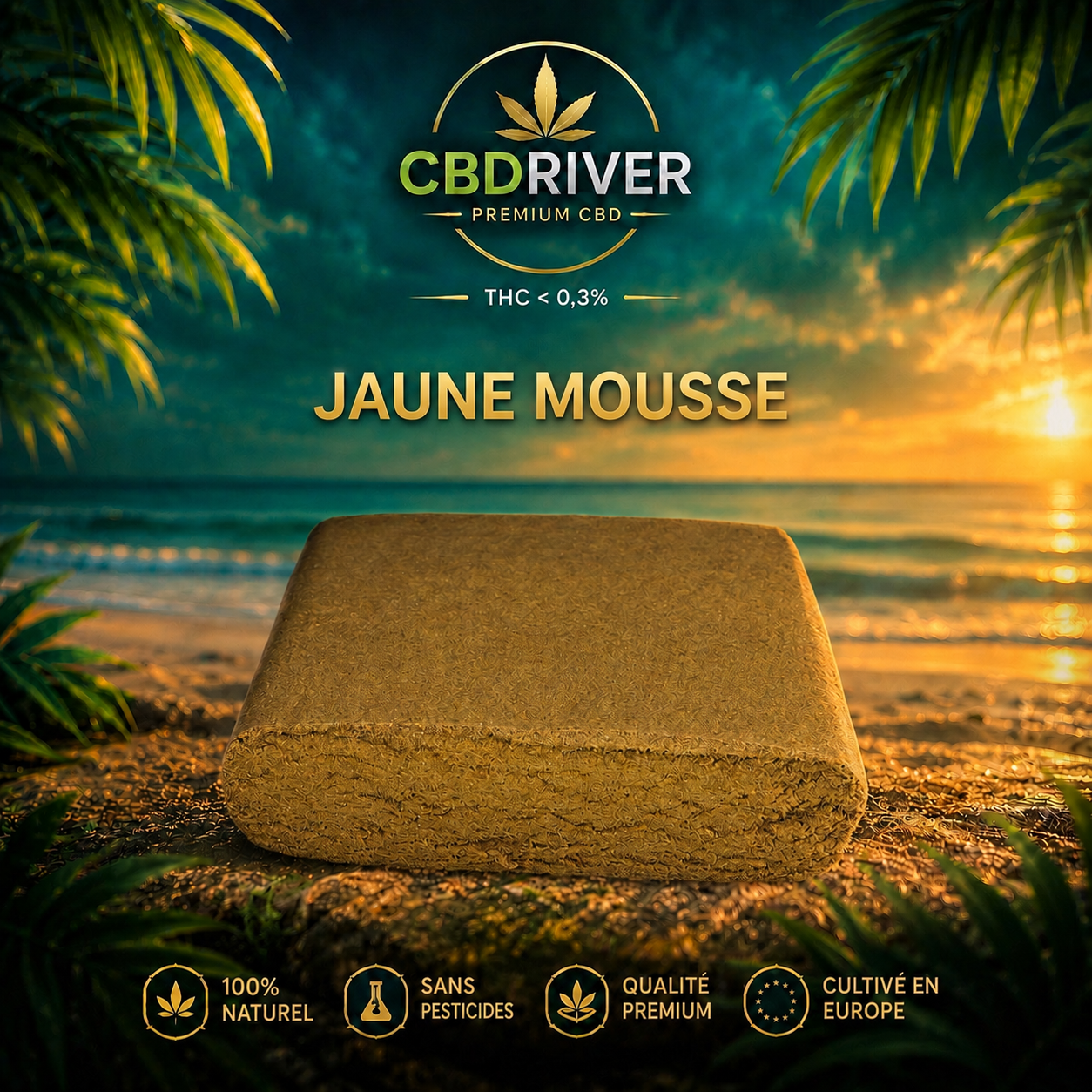 JAUNE MOUSSEUX